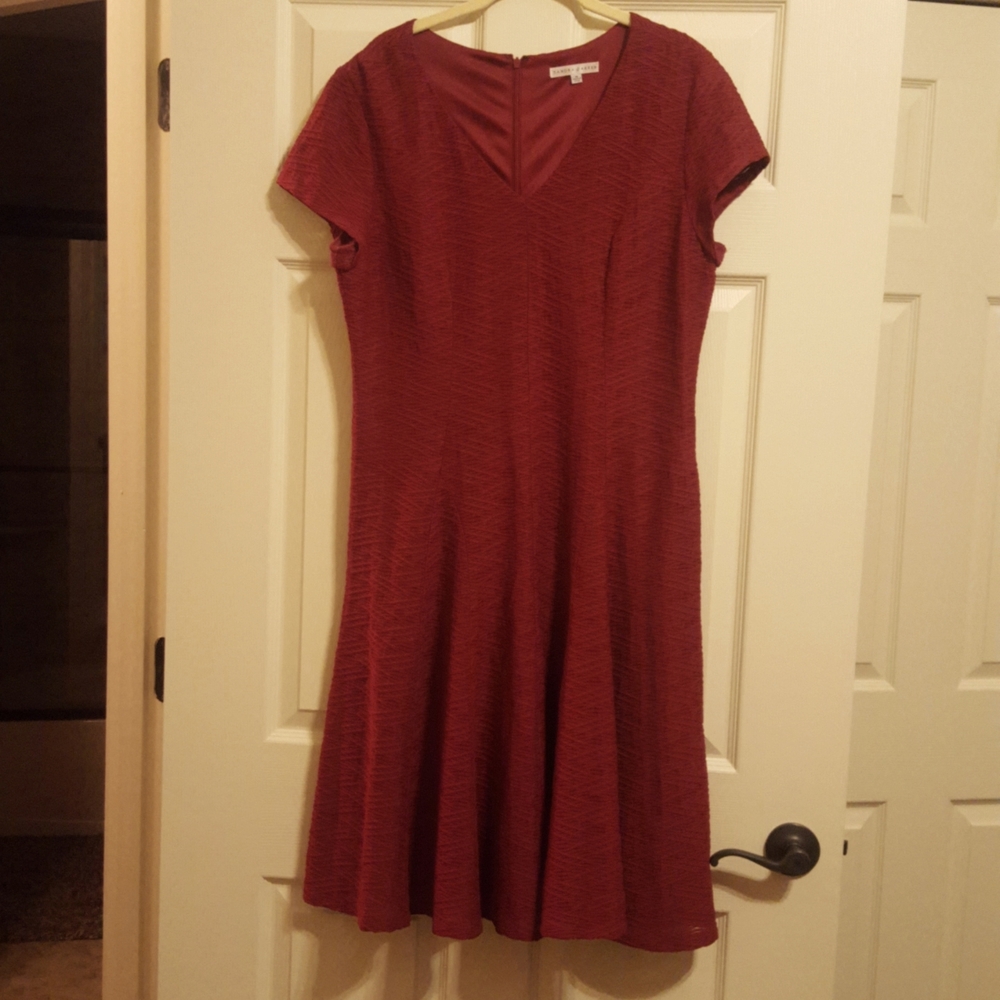 Sandra Darren swing dress, 16